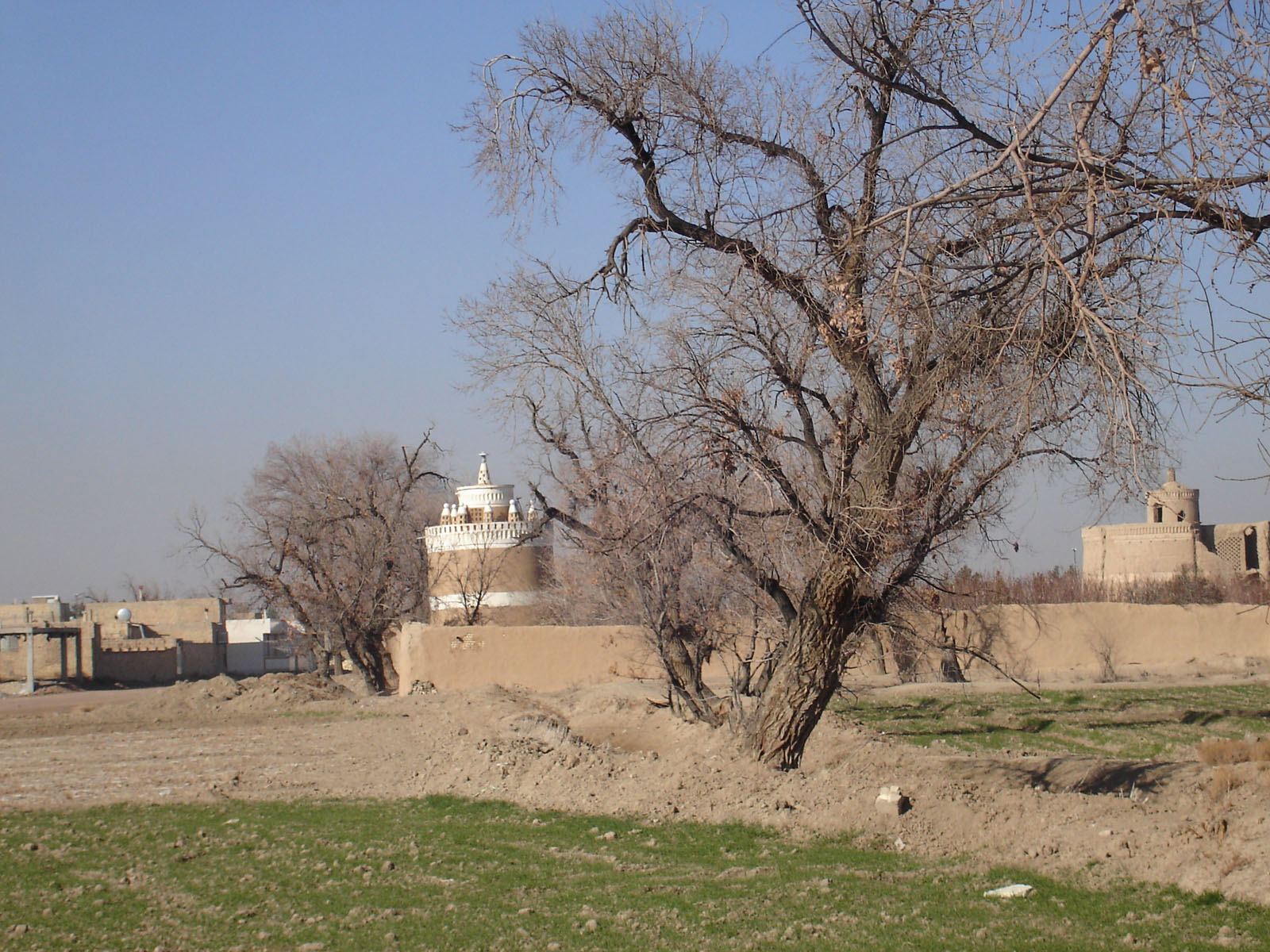 برج پیگون