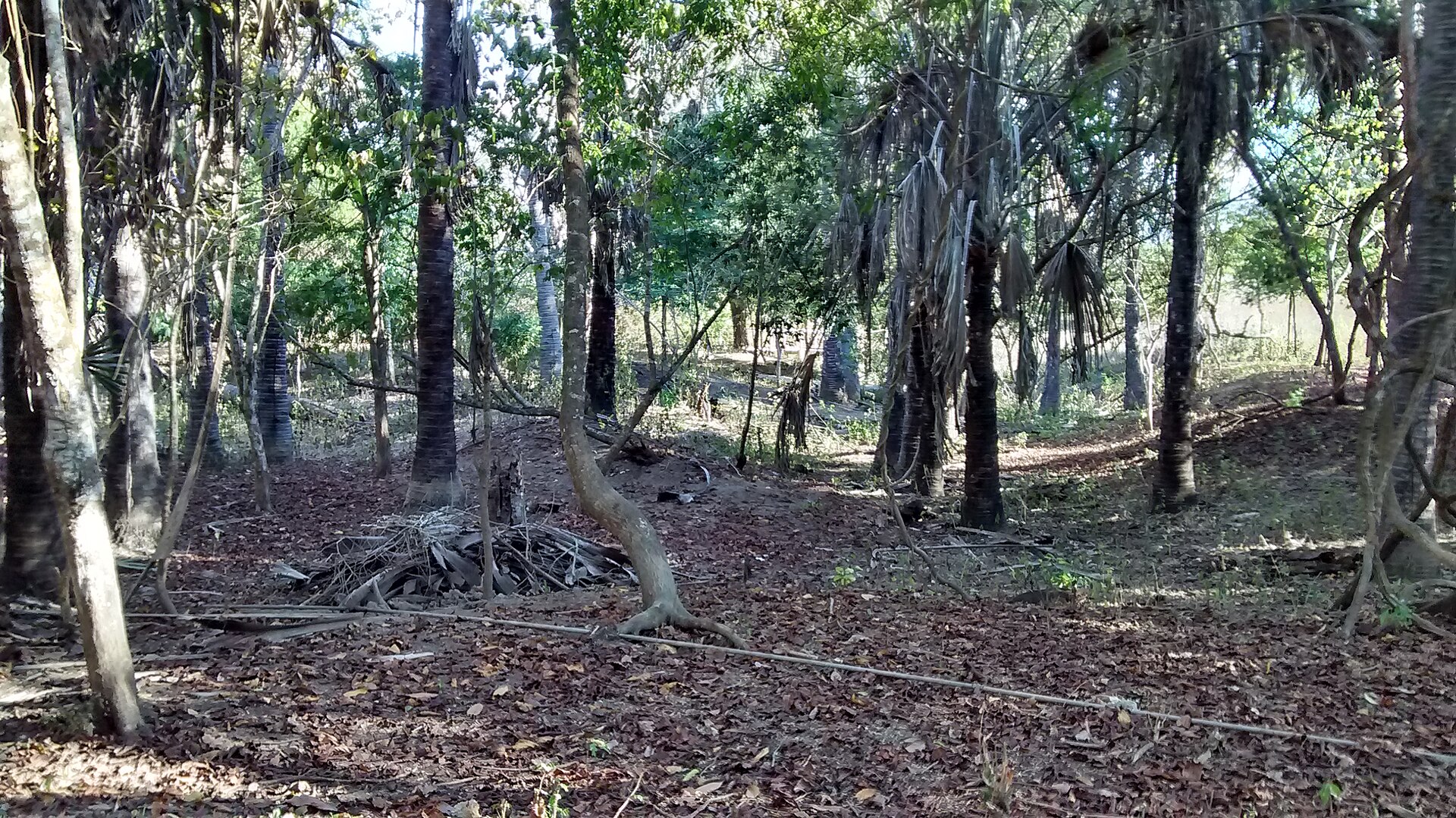 Komodo National Park