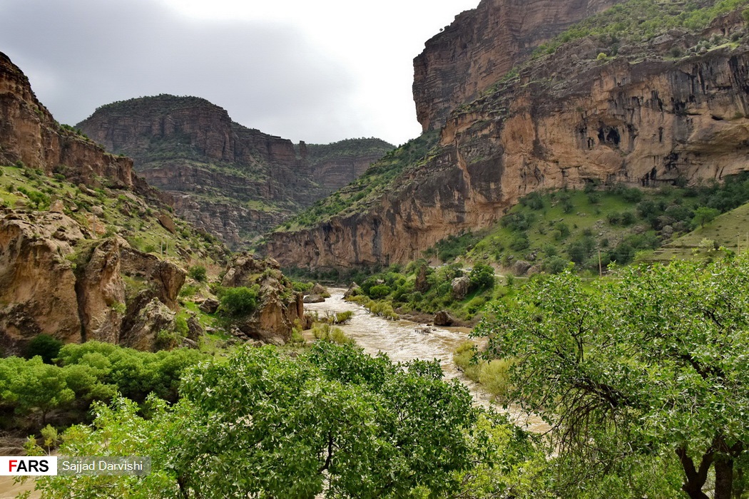 تنگه شیرز